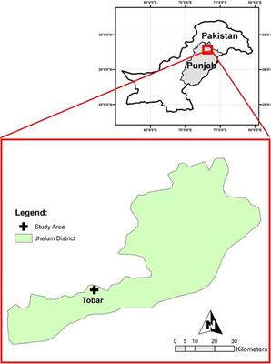 Limestone Quarry Waste Promotes the Growth of Two Native Woody Angiosperms